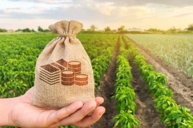 Кредит для владельцев подсобных хозяйств и аграриев,  производителей овощей