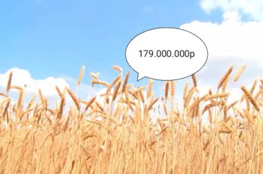 КБР получит 179 миллионов рублей на производство зерна