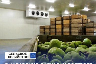 В Кабардино-Балкарии построят новое фруктохранилище