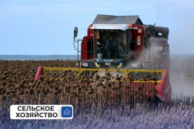 Земледельцы Кабардино-Балкарии собирают урожай подсолнечника